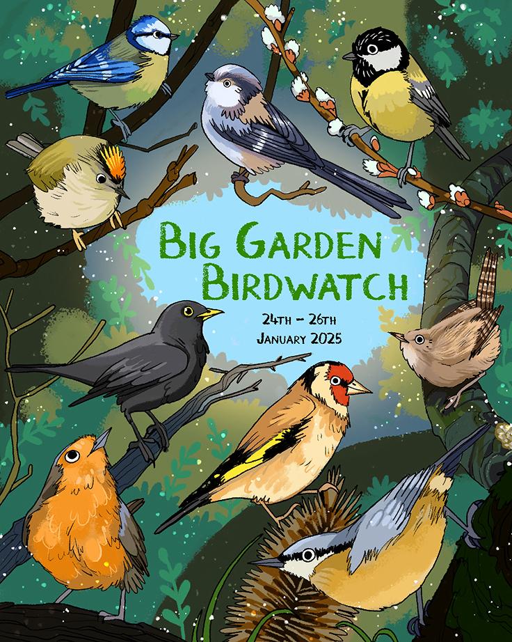 Birdwatch Poster